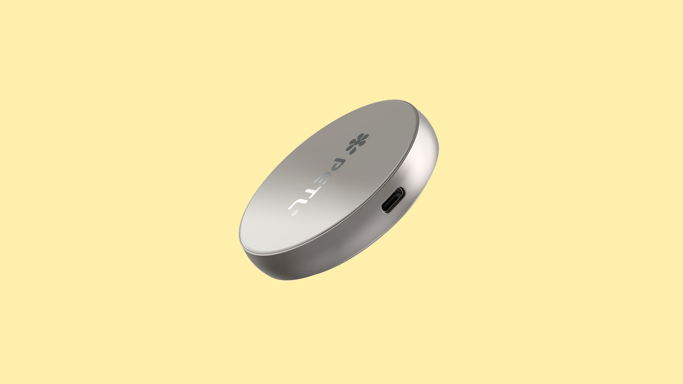 Power Reimagined: The Evolution of Portable Charging - goPETL
